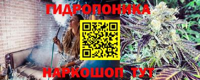марки lsd Заводоуковск