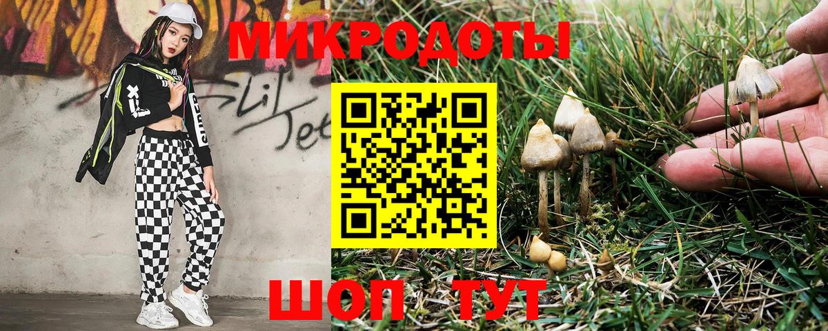 Псилоцибиновые грибы GOLDEN TEACHER Клин