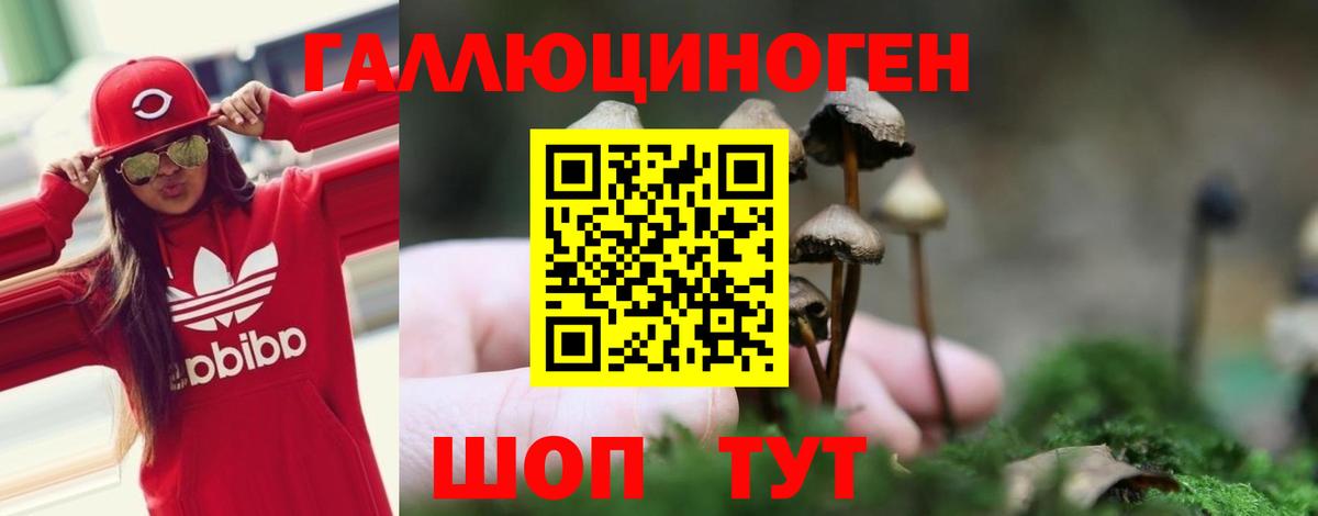 продажа наркотиков  Галлюциногенные грибы GOLDEN TEACHER  Вход с VPN  Клин  Галлюциногенные грибы мухоморы 